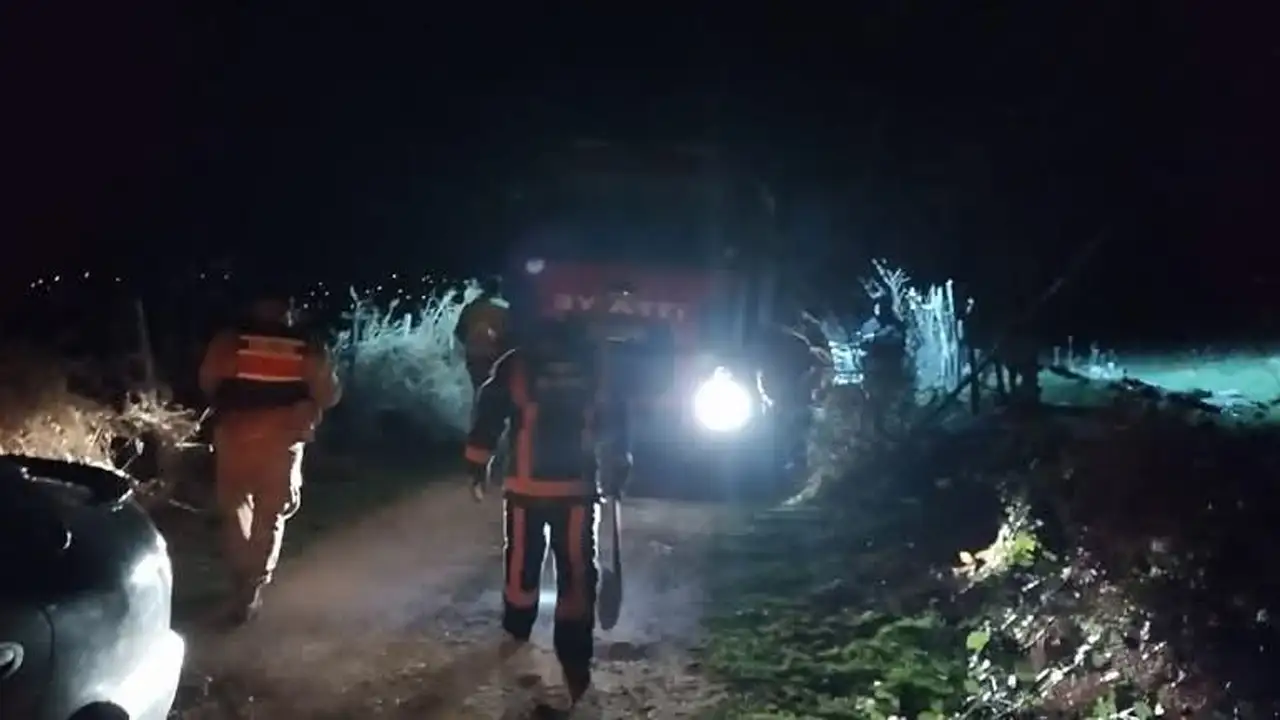 Ordu'da fındık bahçesinde yangın paniği