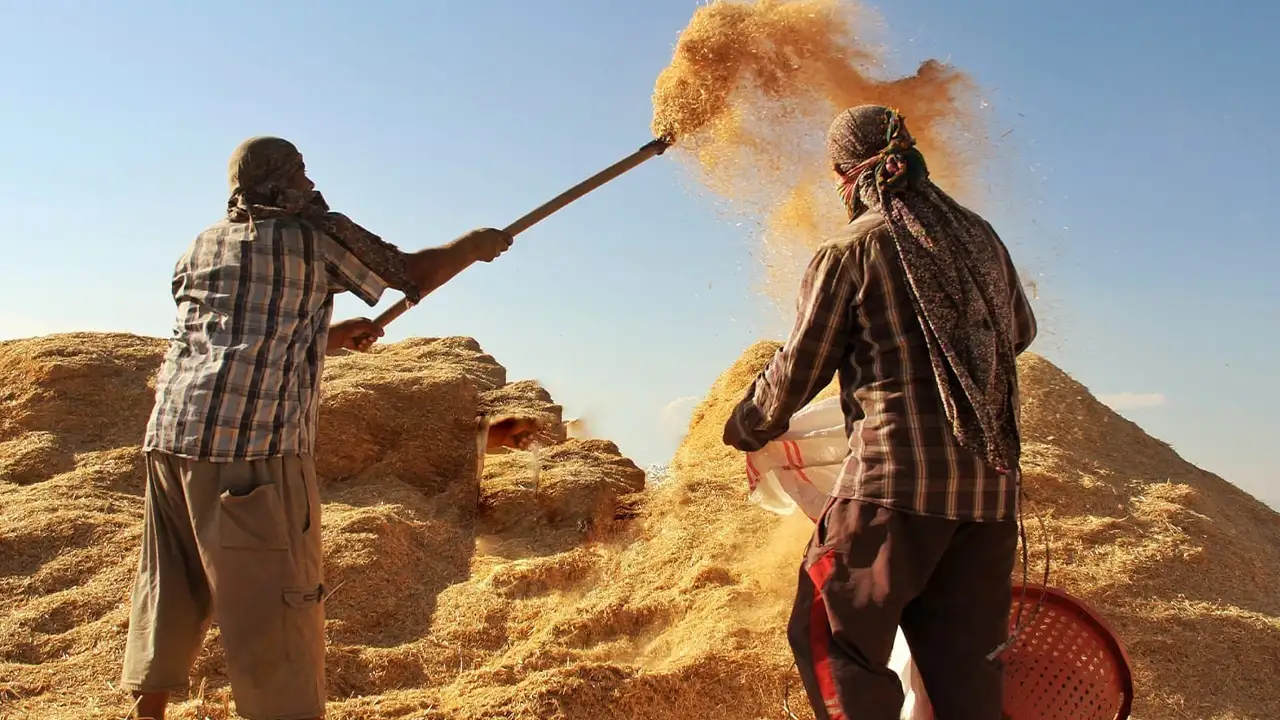 Tarımsal girdi fiyatları Eylül’de zirveye çıktı: Yıllık artış %34,6