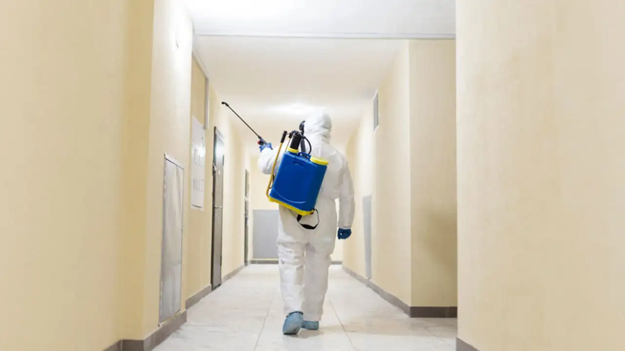 Trabzon'da kaç tane ilaçlama firması var, Denetimleri yapılıyor mu? En yetkili isim açıkladı