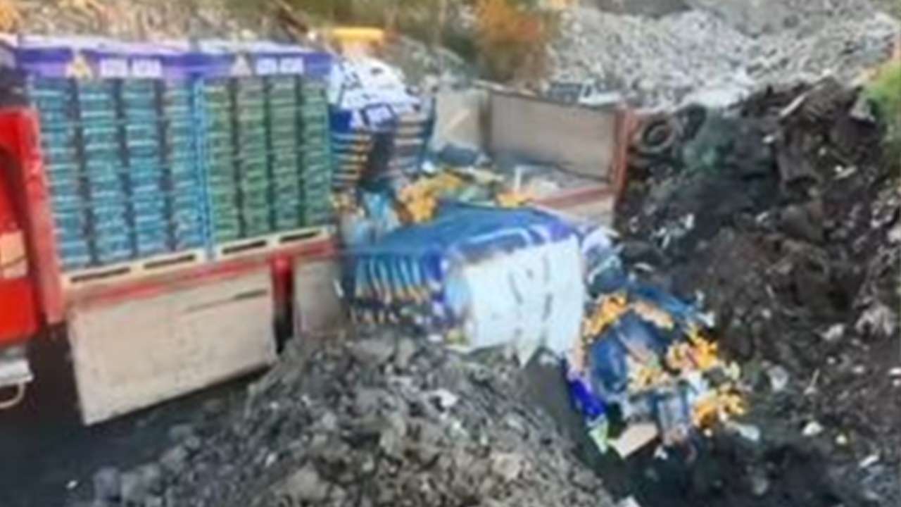 Gürcistan’a gönderilecekti: Zehirli mandalinalar Sarp’ta yakalandı