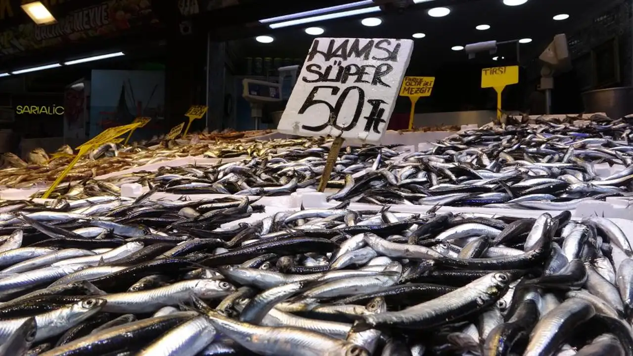 Trabzon bu yıl hamsiye doydu: 35 yılın en bereketli sezonu