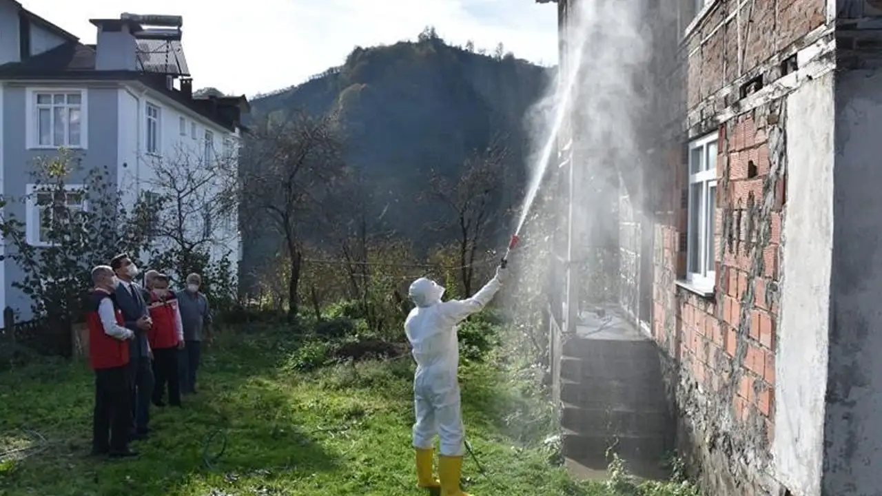Ordu’da kahverengi kokarca mücadelesi sürüyor: 330 bin noktada kışlak ilaçlaması