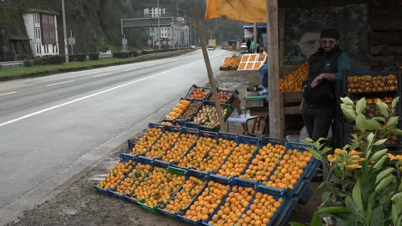 Rize’de aromasıyla ünlü Derepazarı mandalinası tezgâhlarda