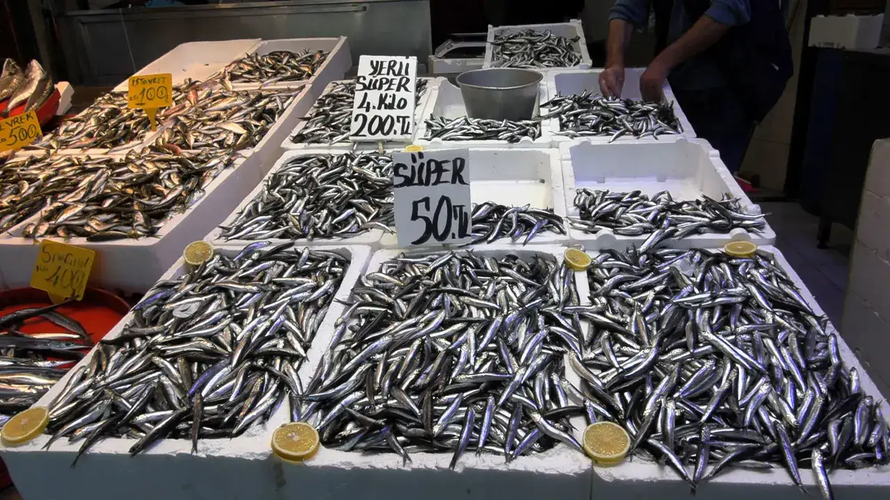 Trabzon’da hamsiye ilgi yükseldi: İşte tezgahta son durum