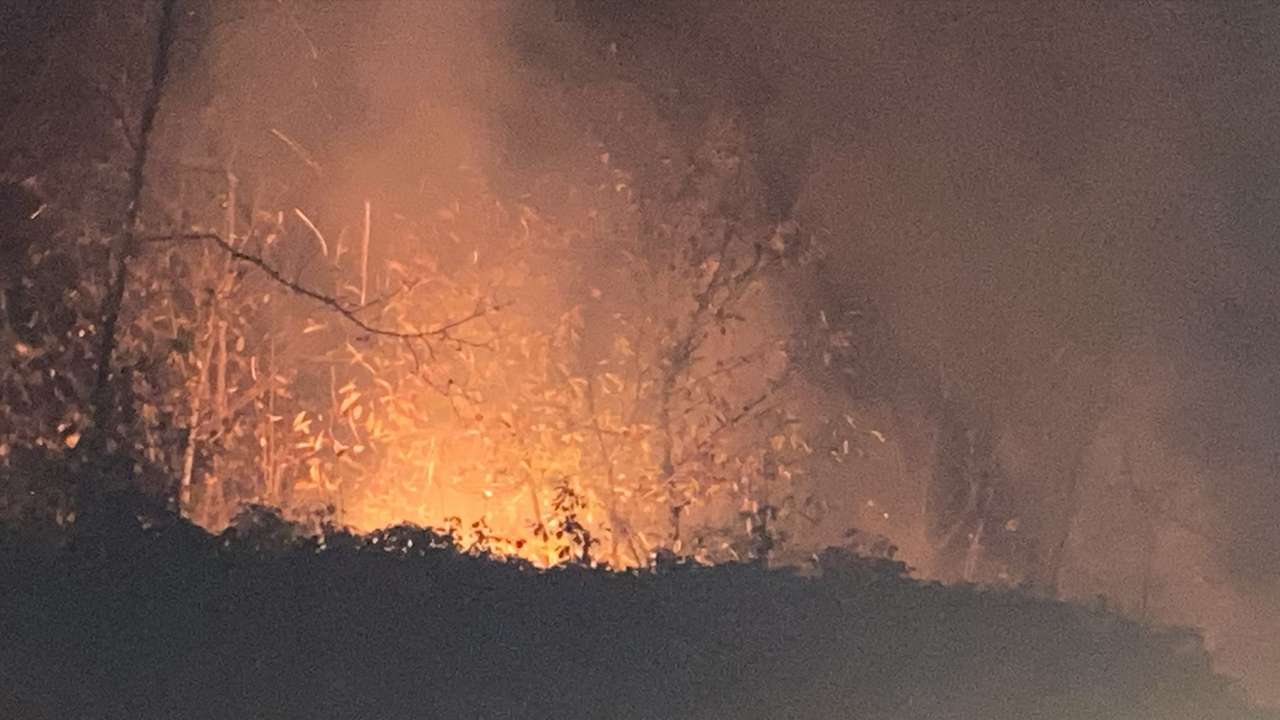 Trabzon’da korkutan yangın: Alevler 4 saat sonra kontrol altına alındı