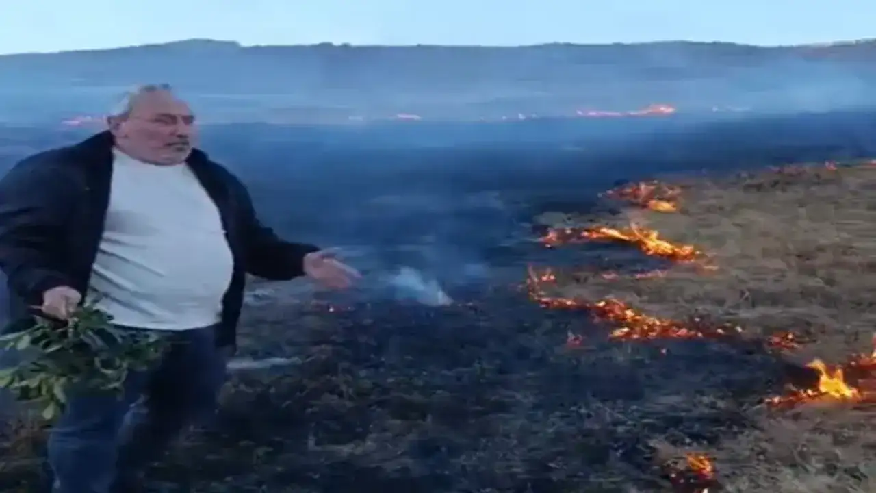 Trabzon’un yaylalarında panik hakim: Son verilmeli