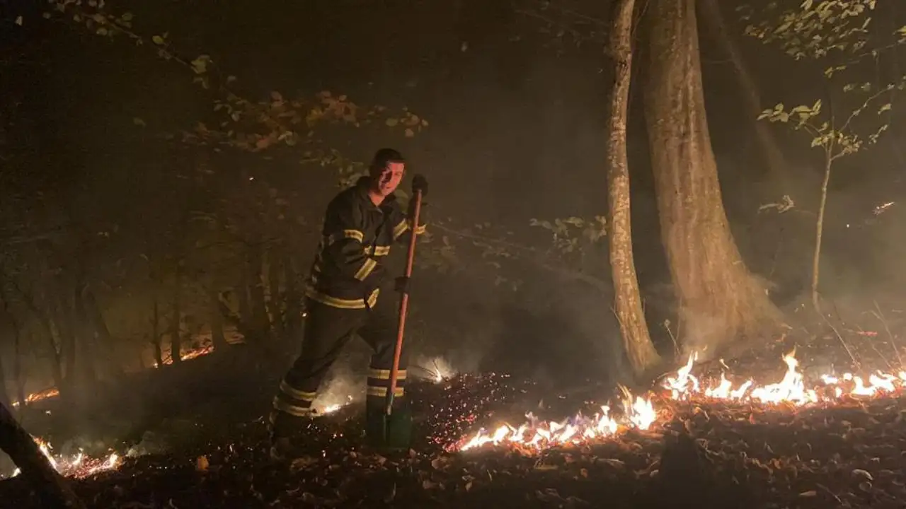 Ordu’da orman yangını 1 gün süren çalışmalarla söndürüldü: “Sabotaj ihtimali inceleniyor”