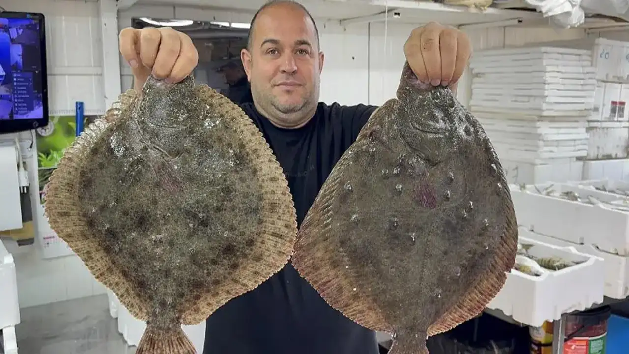 Karadeniz’de hamsi bereketi: Tezgâhlarda çeşitlilik ve iri balık sürprizi