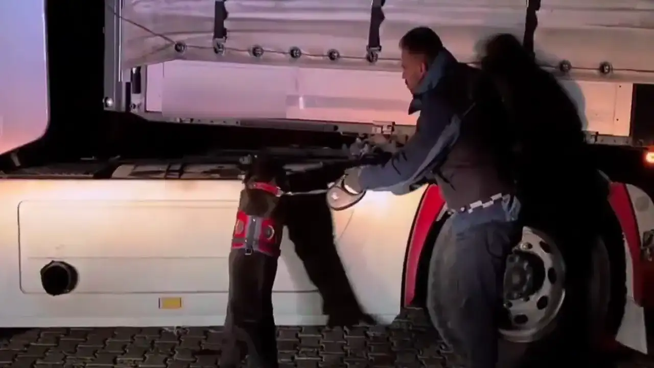 Hakkari ve Ağrı’da dev uyuşturucu operasyonu: 1 şüpheli yakalandı