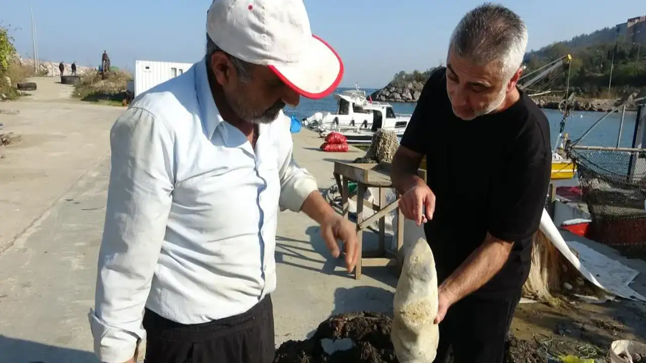 Giresun’da balıkçıların ağına at ayağına benzeyen gizemli taş parçası takıldı