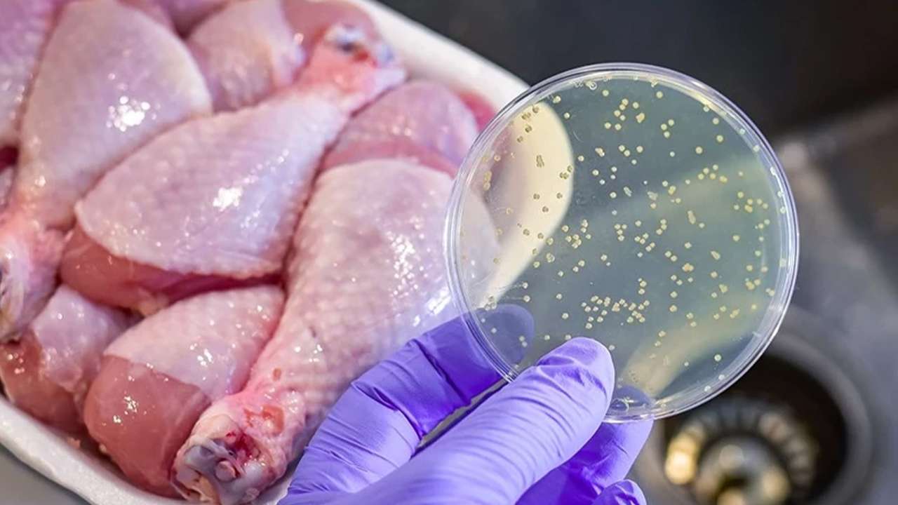 Tavuk yemeği faciası: Bir çocuk öldü, ikisi can mücadelesi veriyor