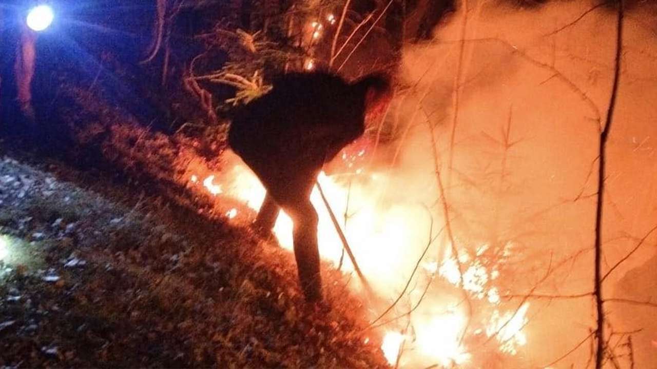 Artvin'de ziraat alanında çıkan yangın hızla söndürüldü