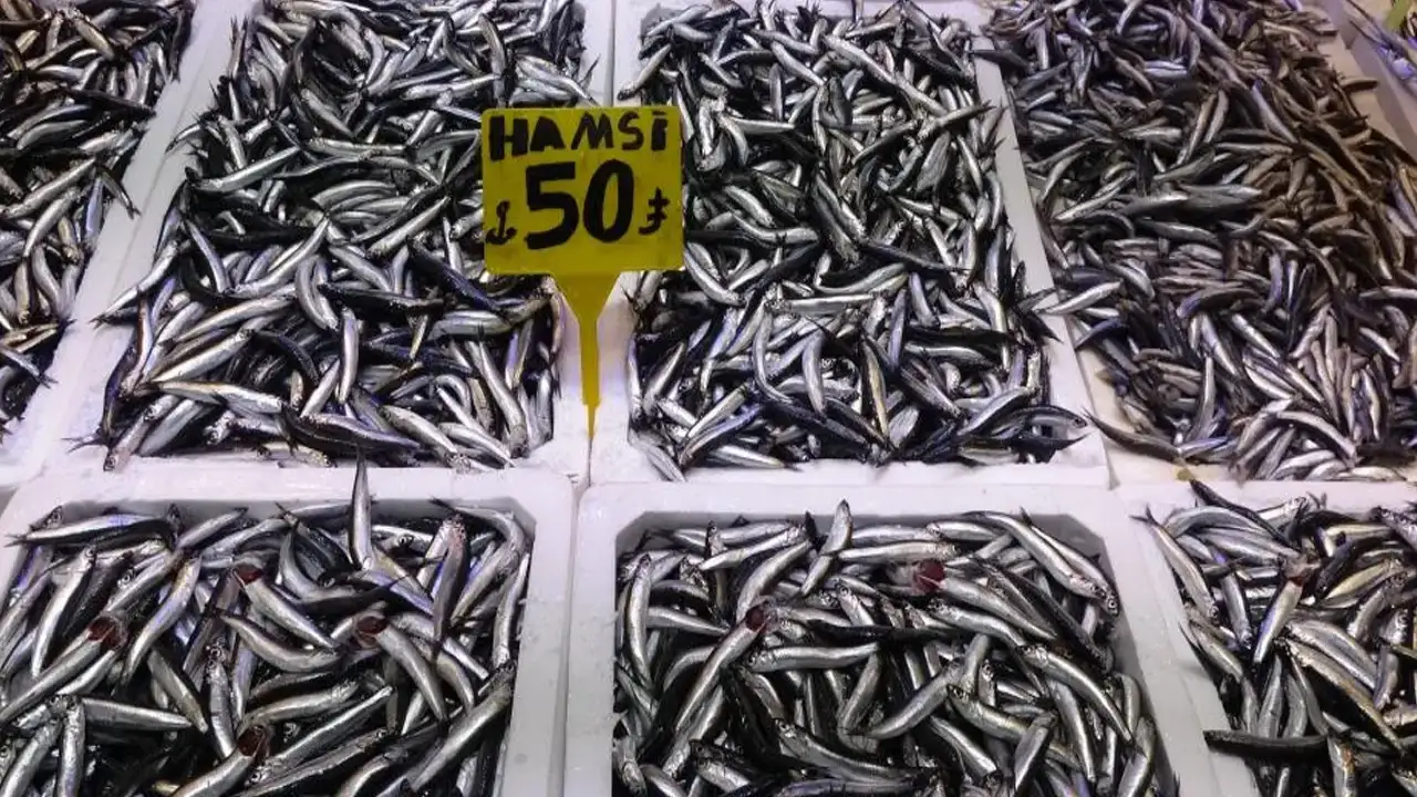Böyle sezon görülmedi: Karadeniz’de sıradışı hamsi bereketi