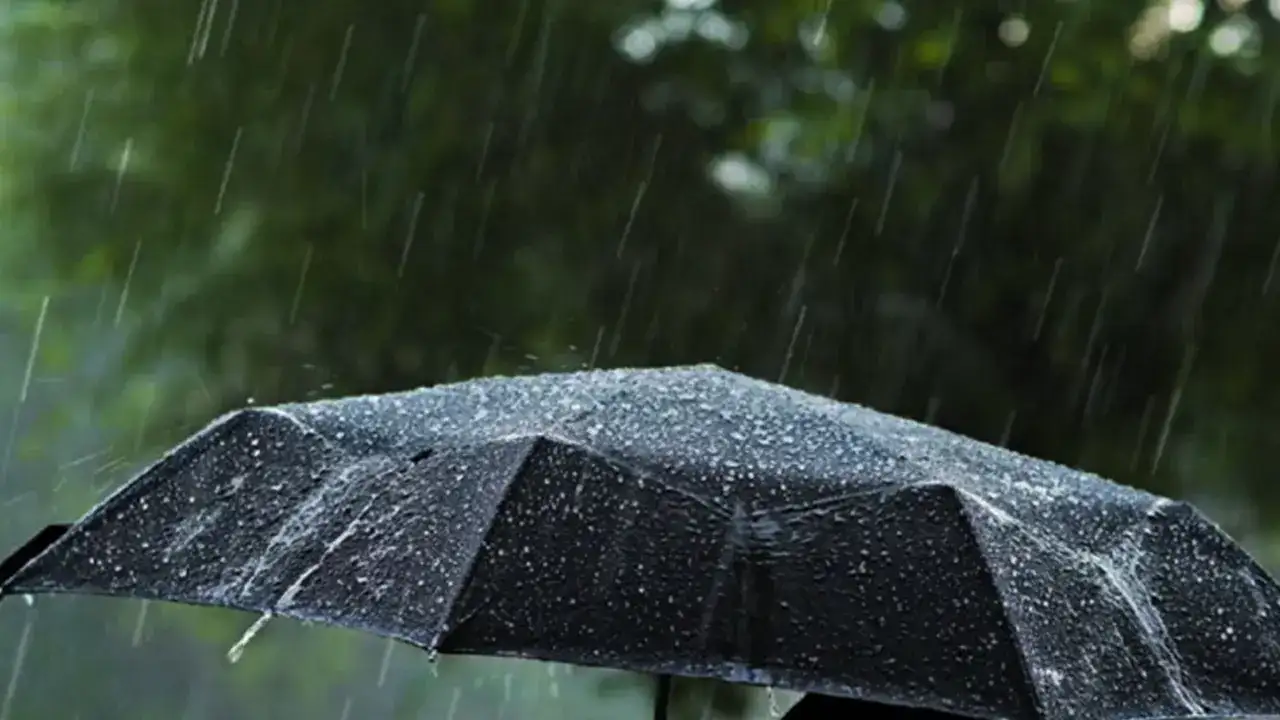 Trabzon’a o gün için uyarı verildi: Aman dikkat