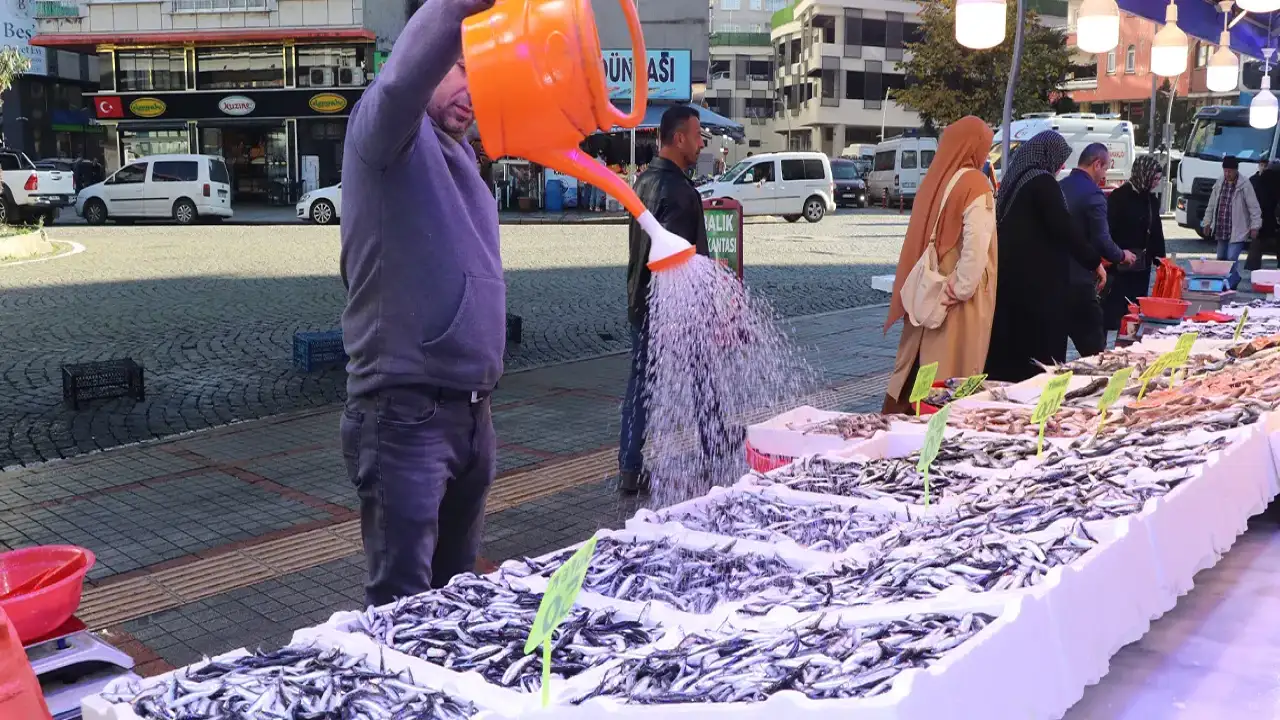 Rize’de hamsi 50 liradan tezgâhta: “Bu sene herkes hamsiye doydu”