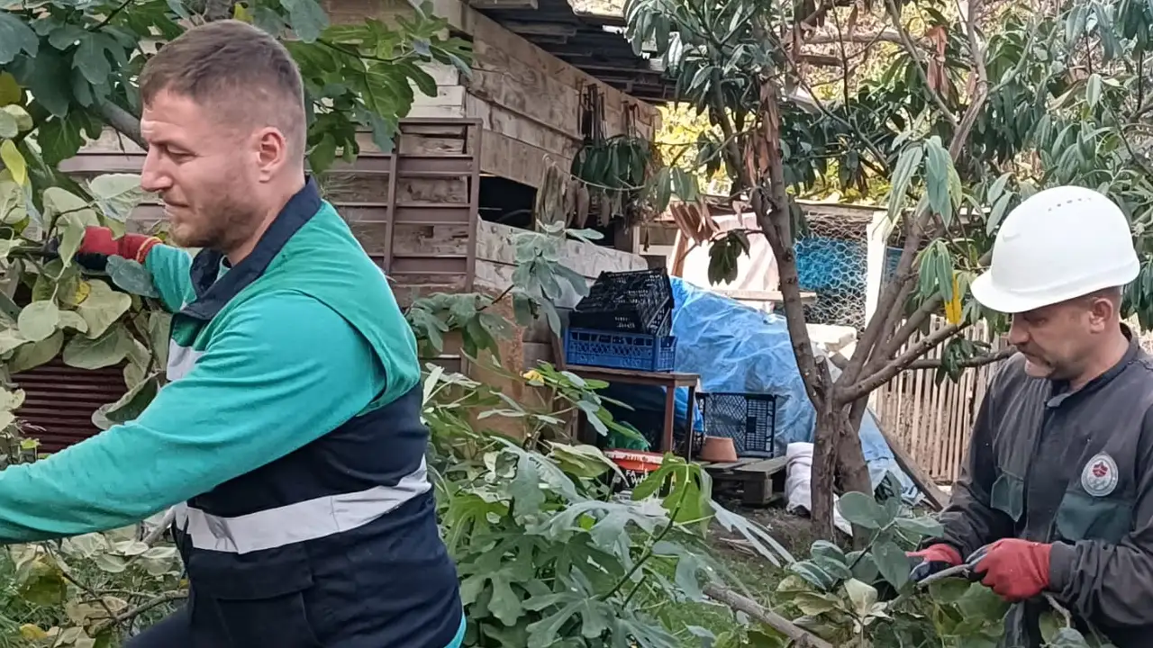 Trabzon’da 870 ağaç ve 14 bin çalı toprakla buluştu