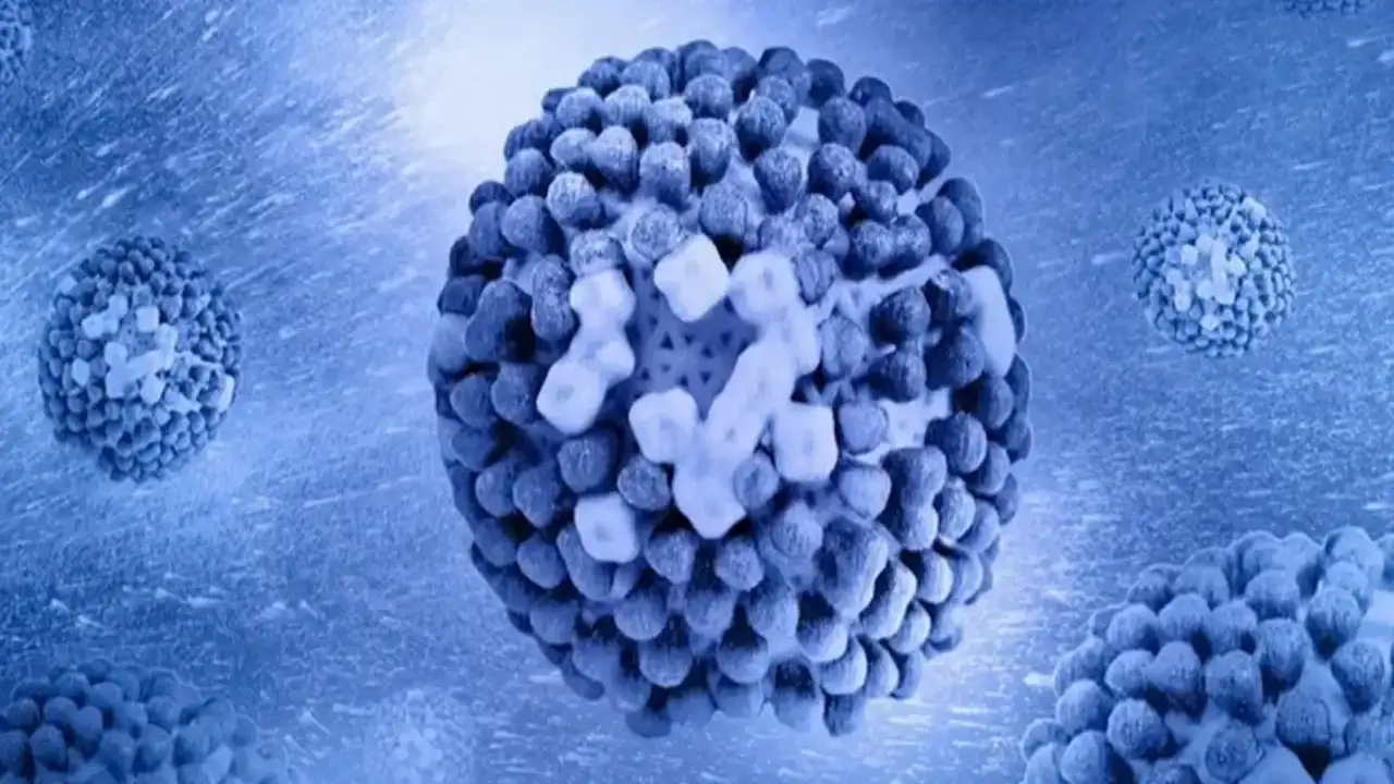 H3N2 alarmı: Prof. Dr. Tevfik Özlü’den Türkiye için grip uyarısı