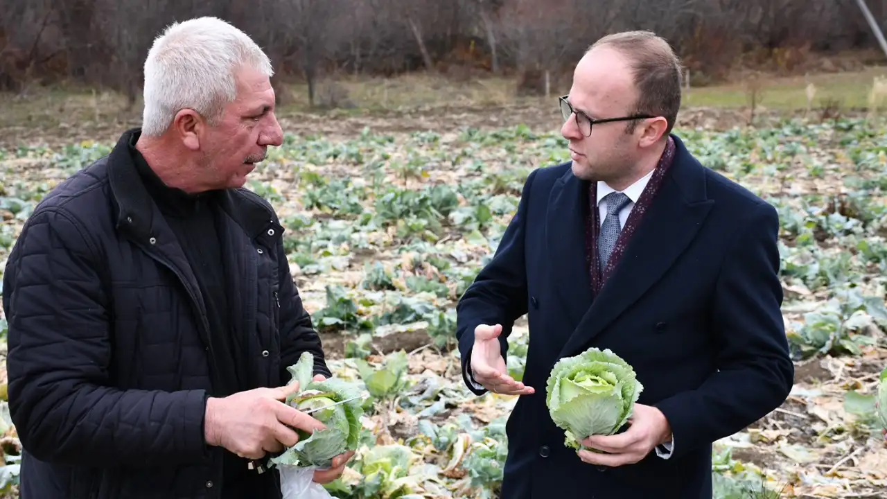 Giresun'da Alucra kelem pancarı için coğrafi işaret hazırlığı