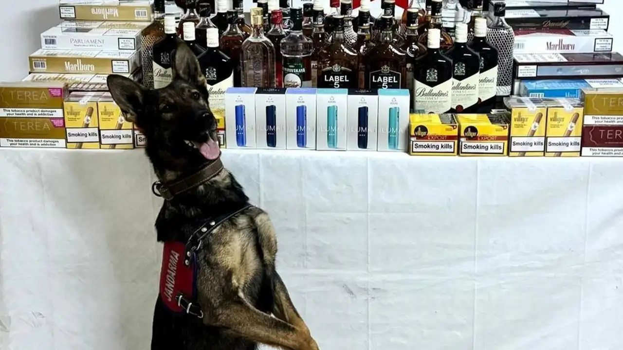 Artvin'de kaçak sigara ve içki operasyonu: 26 kişi hakkında işlem