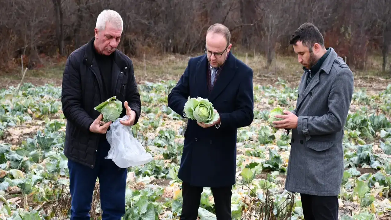 Giresun Alucra’da kelem pancarına coğrafi işaret hazırlığı