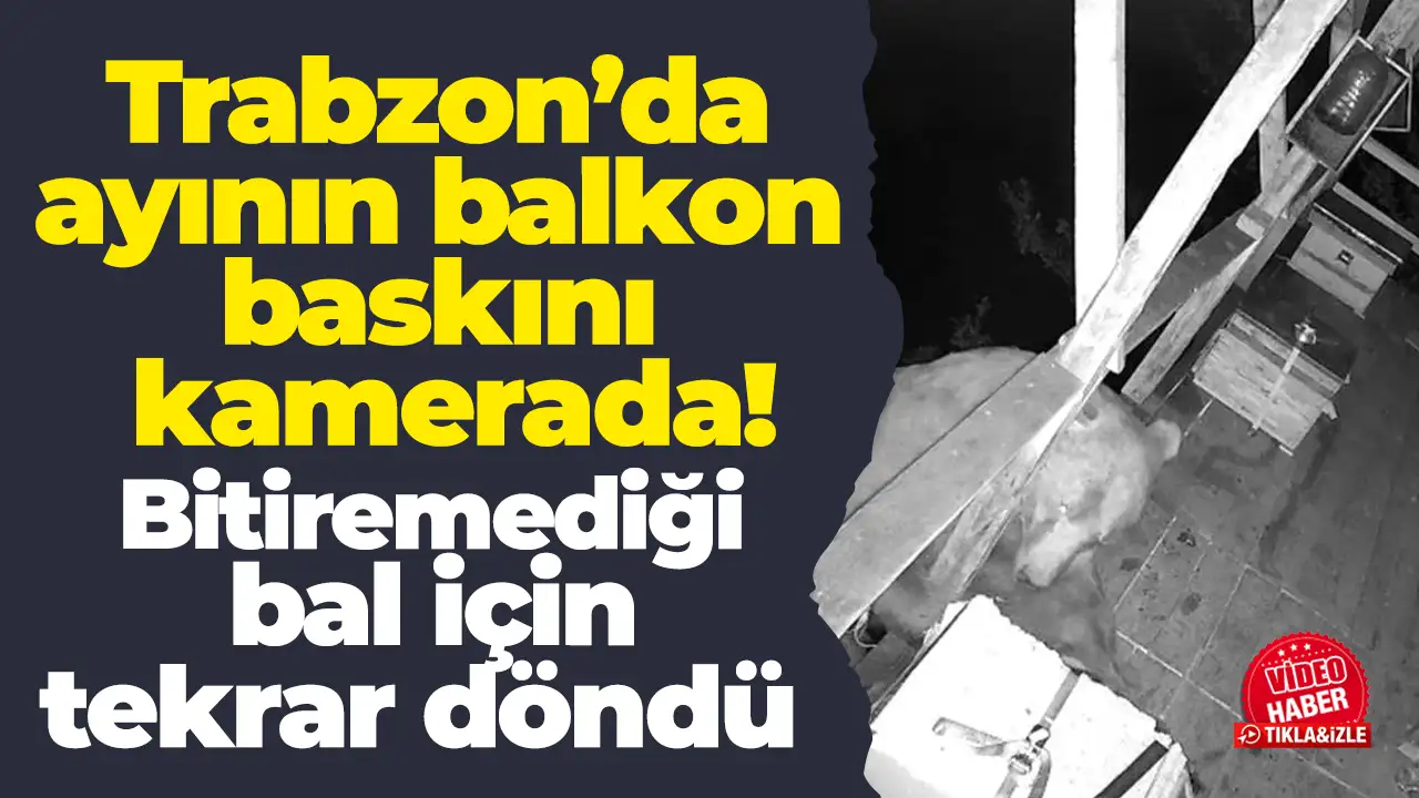 Trabzon'da ayı, bir evin balkonunu iki gün üst üste bastı: Balları afiyetle yedi
