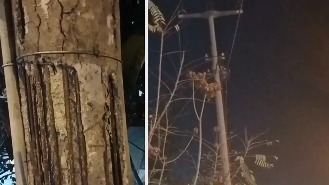 Trabzon'da yıllardır eğik duran elektrik direği endişe yaratıyor