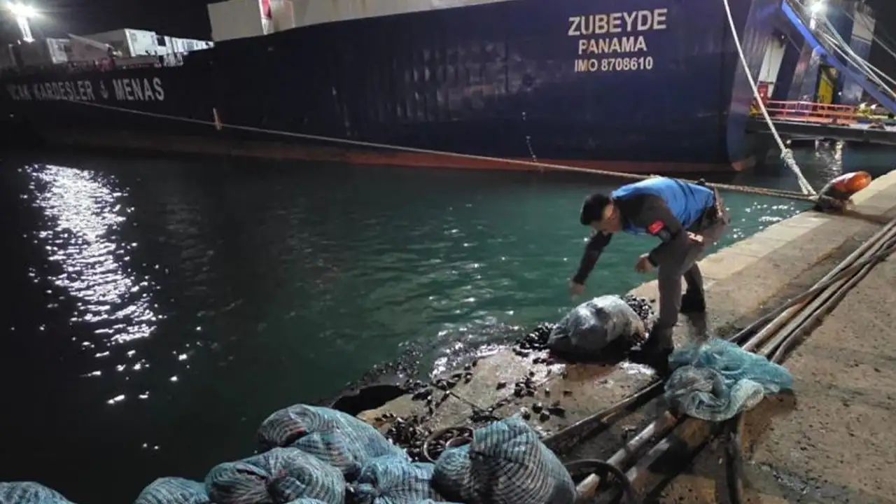 Samsun’da kamyonetten 300 kilo kaçak midye çıktı
