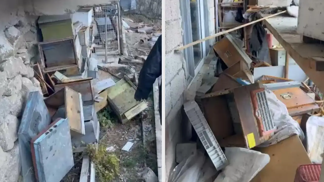 Anzer’de ayının tahribatı arıcıyı bezdirdi: “Ne arı kaldı ne bal”