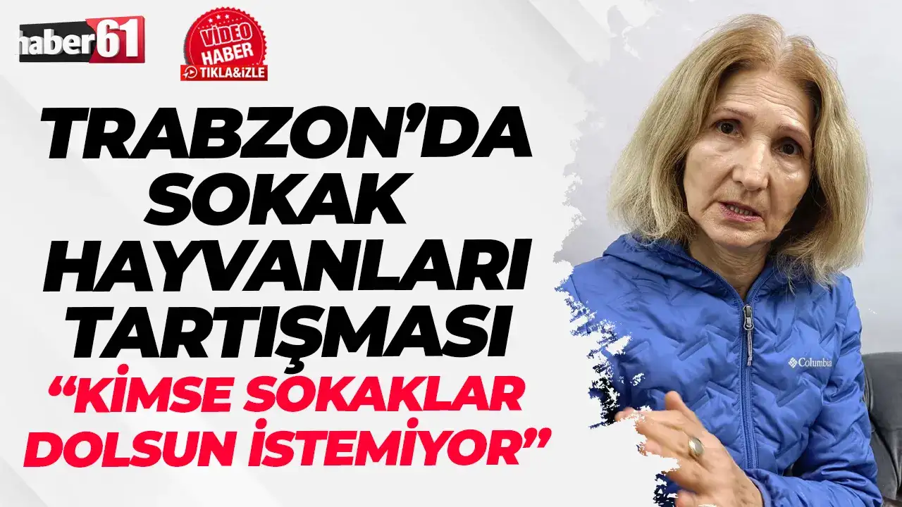 Trabzon’da sokak hayvanları tartışması: ‘Kimse sokaklar dolsun istemiyor’