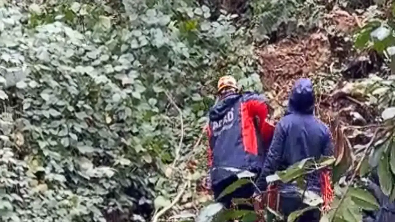 Rize’de ağaç kesimi sırasında talihsiz kaza: Uçuruma yuvarlanan kişi hastaneye kaldırıldı