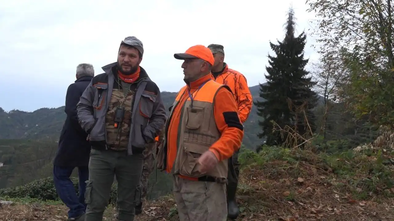 Doğu Karadeniz’de ayı alarmı: Rize'de özel av izni verildi