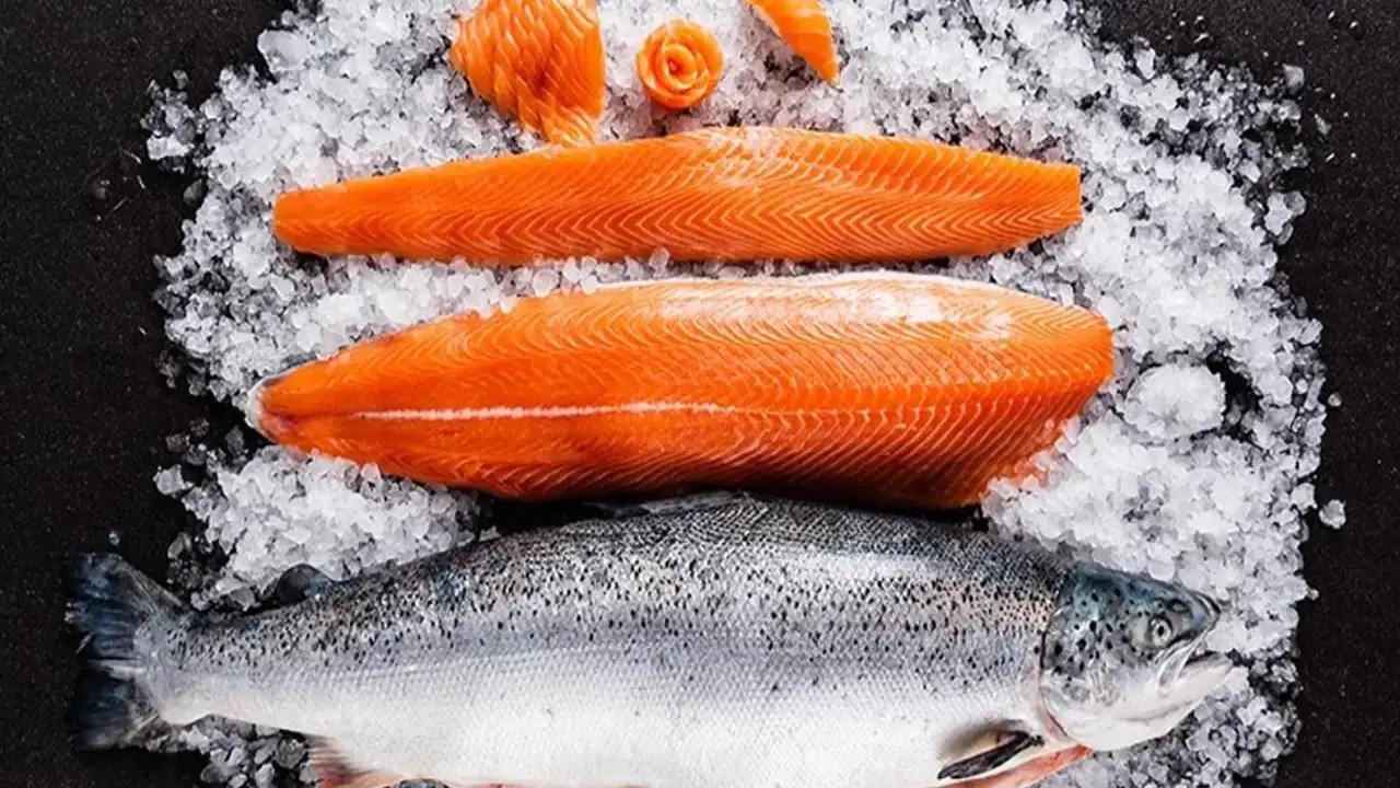 Trabzon'dan 18 ülkeye somon ihracatı: Rekor kırıyor