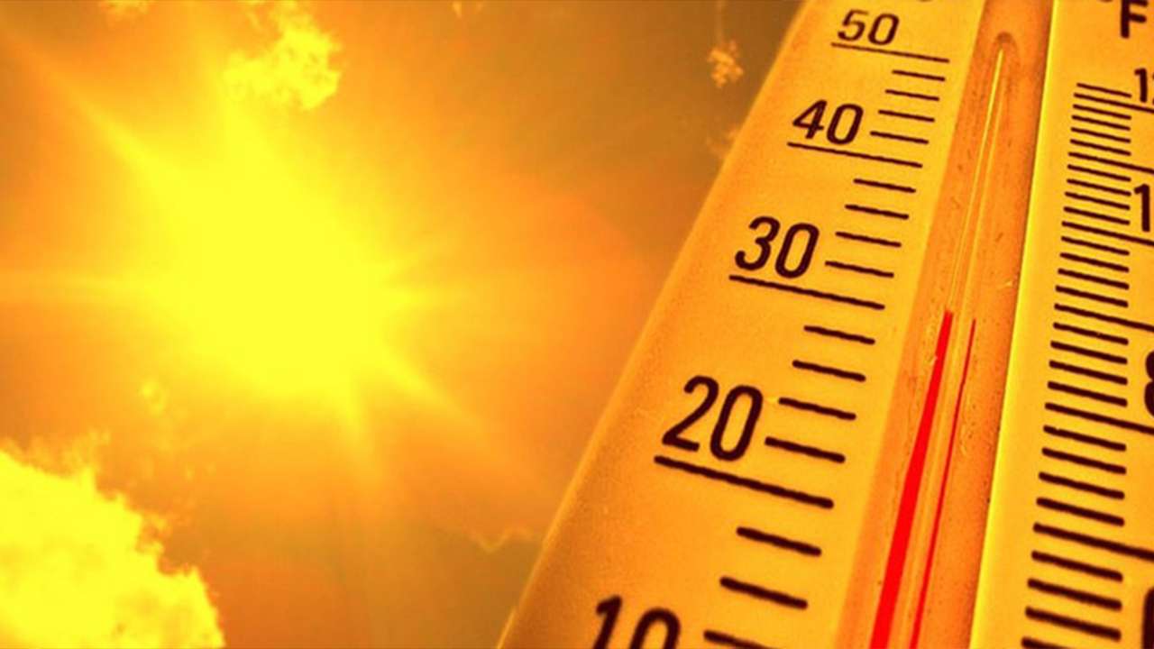 Türkiye’de Kasım ayında ölçülen sıcaklık değerleri dikkat çekti