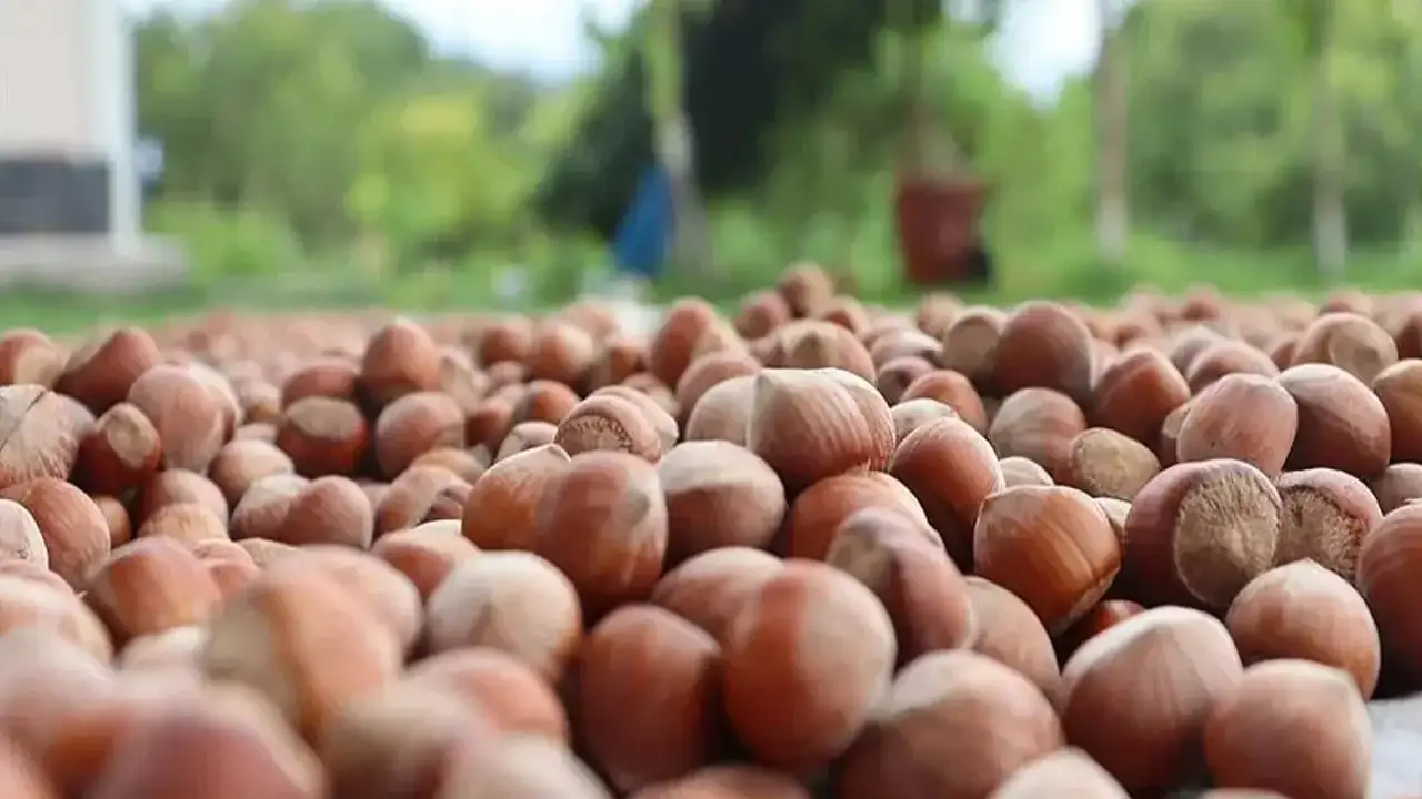 Başkan Ergan: " İhracatta üç ayda büyük düşüş yaşandı