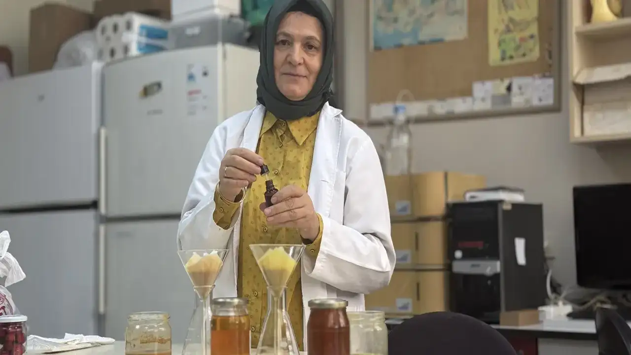 KTÜ’de arı ürünleri ve apiterapi çalışmaları APİMER çatısı altında toplanıyor
