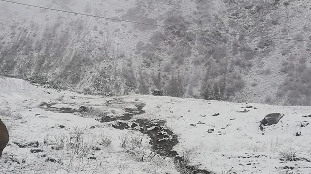 Anzer Yaylası’na kar sürprizi: Yaylacılar zor anlar yaşadı