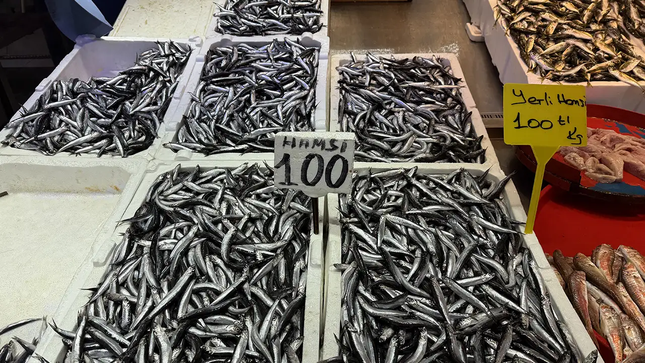 Trabzon'da hamsi pahalandı, istavrit öne çıktı: Tezgâhlarda fiyatlar güncellendi