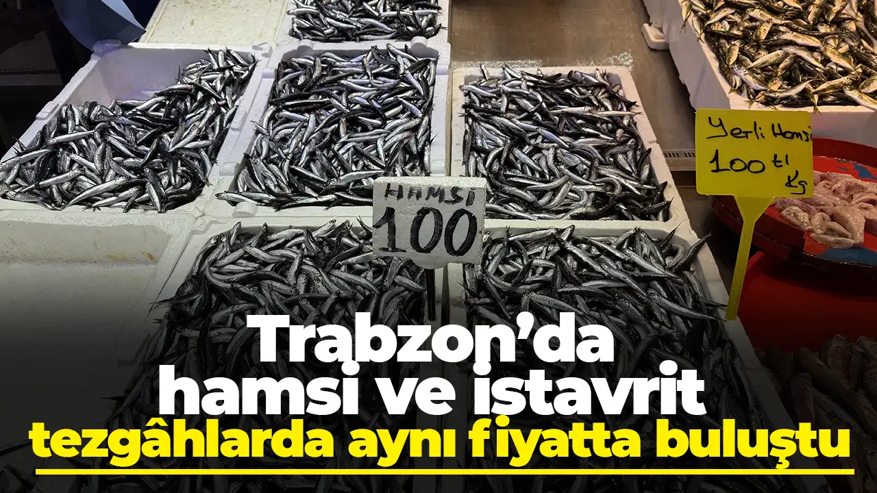 Trabzon'da hamsi pahalandı, istavrit öne çıktı: Tezgâhlarda fiyatlar güncellendi