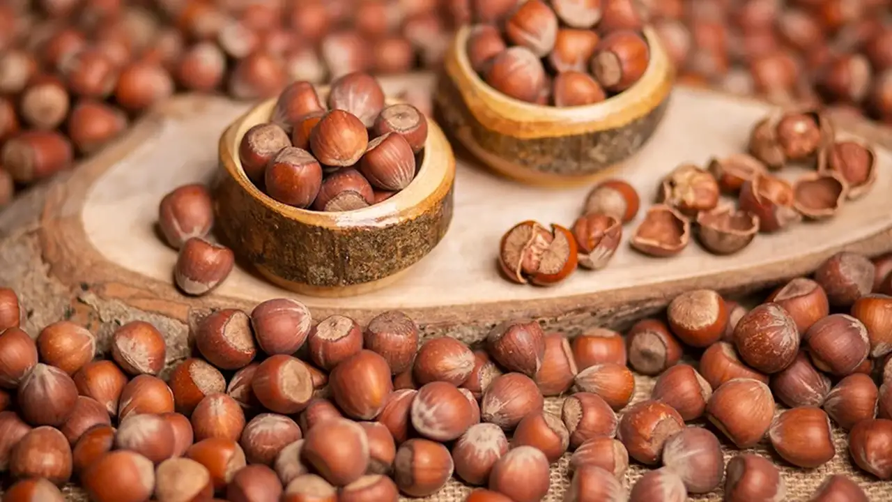 Trabzon’da fındık fiyatlarında sert düşüş: İşte güncel fiyatlar