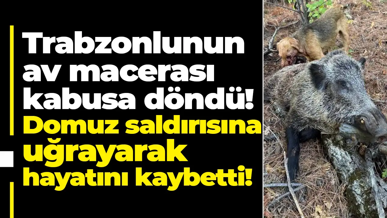 Erzincan’da talihsiz olay: Trabzonlu avcı domuz saldırısına kurban gitti