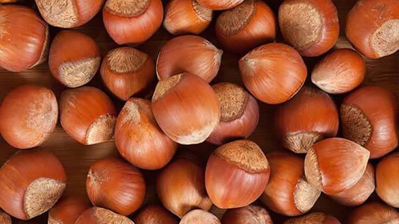 Fındığın fiyatı düştü: Üretici umudunu yeni yıla bıraktı