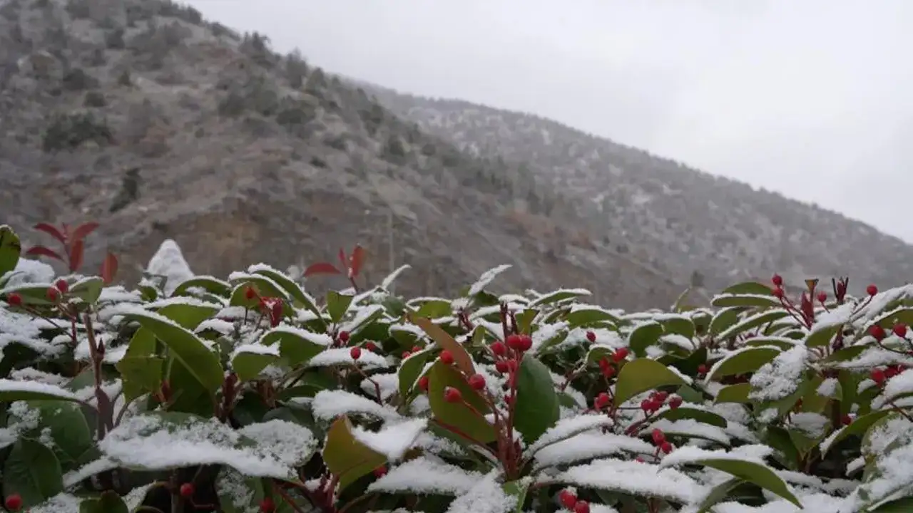 Gümüşhane’de mevsimin ilk karı düştü: Merkezde beklenti karşılanmadı