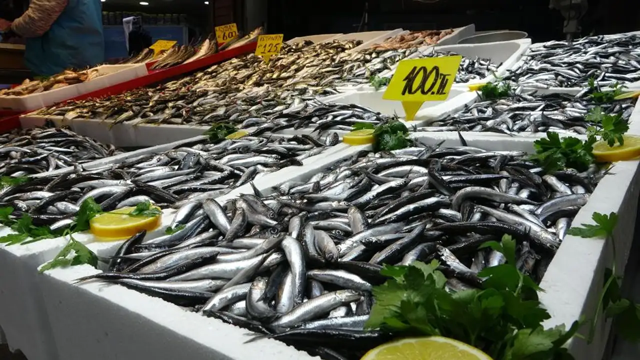 Trabzon'da balıkçılar şaşkın: 35 yıldır böyle hamsi bolluğu görülmedi