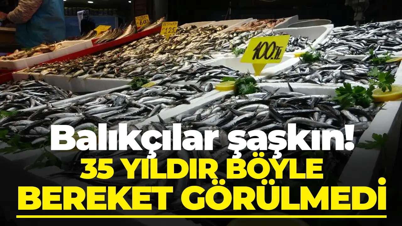 Trabzon'da balıkçılar şaşkın: 35 yıldır böyle hamsi bolluğu görülmedi