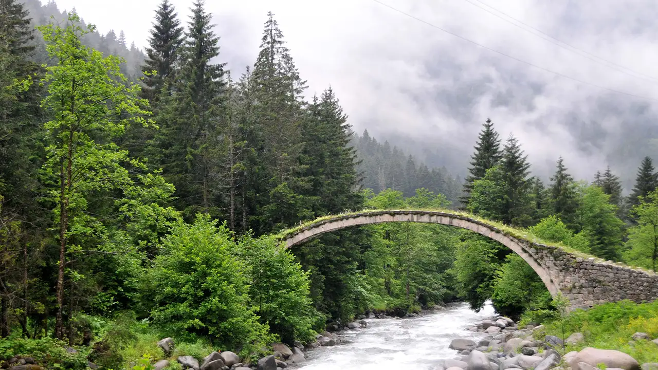 Uzmanından uyarı: "Doğu Karadeniz’de su fazlalığı da tehdit"