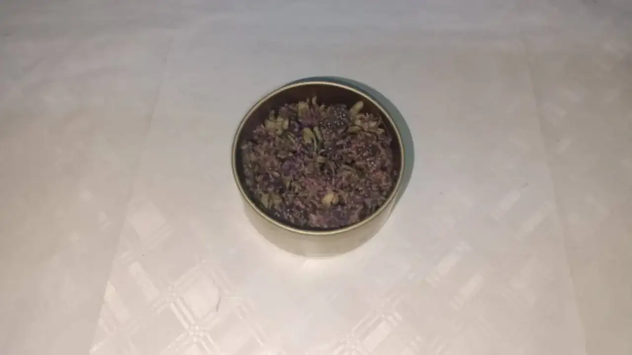 Artvin’de endemik bitki kaçakçıları yakayı ele verdi