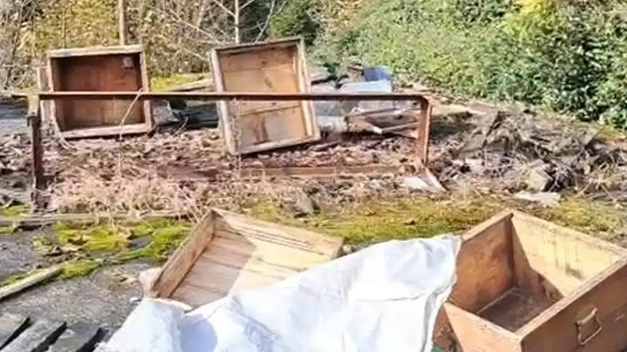 Köyde ayı isyanı: " Devlet vurmayın diyor, ayılar kovanları parçalıyor"