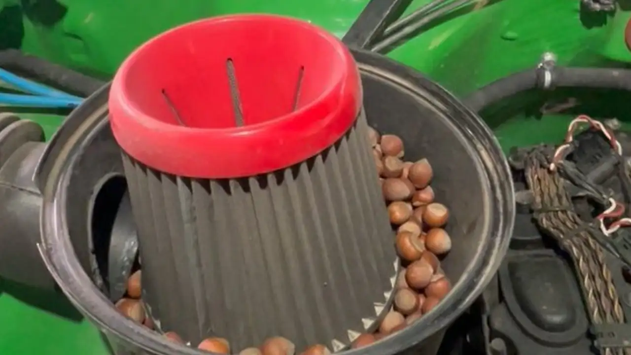 Trabzon’da şaşırtan olay: Sincap off-road aracının hava filtresine 1 kilo fındık depoladı