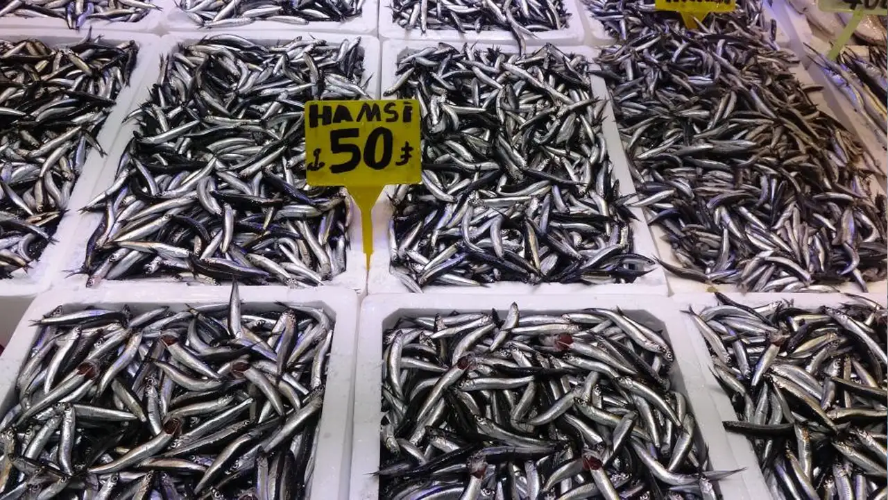 Hamsi kaçtı: Karadeniz'de av erken bitti