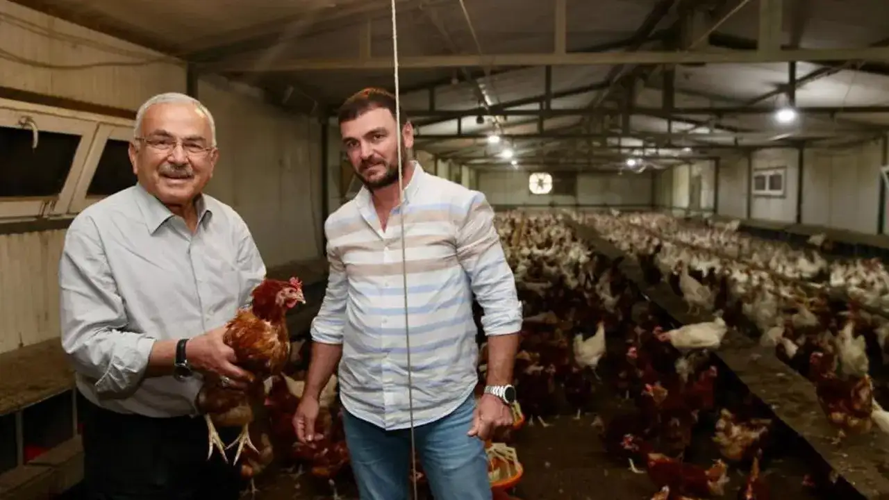 Ordu'da yumurta üretimi artıyor: "Destekler sektörü ayağa kaldırdı"